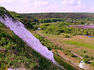 Бекарюковский бор. 2012 г.